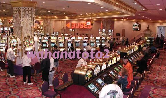 wahanatoto2 Live Dealer Tables at Your Fingertips